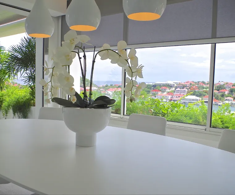 Les Jardins de Gustavia